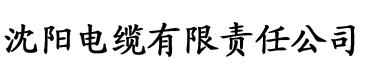 91污污污下载电缆厂logo